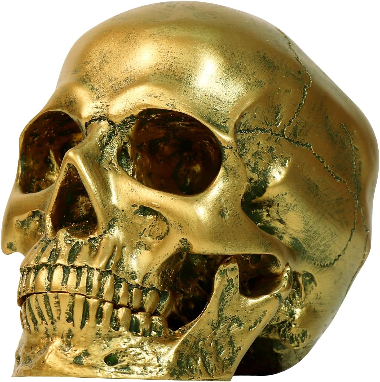 Resin Gold Skull Model - Life Size High Fidelity Sculpture for Halloween Decor Statues, Home Decoration & Artistic Display