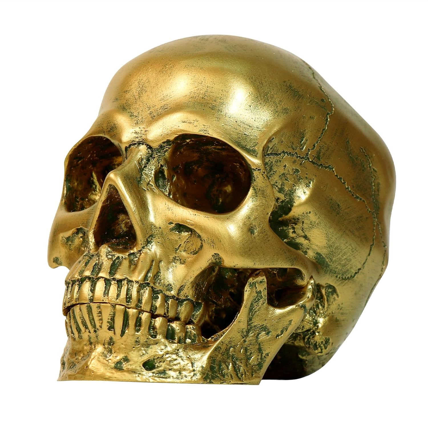 Resin Gold Skull Model - Life Size High Fidelity Sculpture for Halloween Decor Statues, Home Decoration & Artistic Display