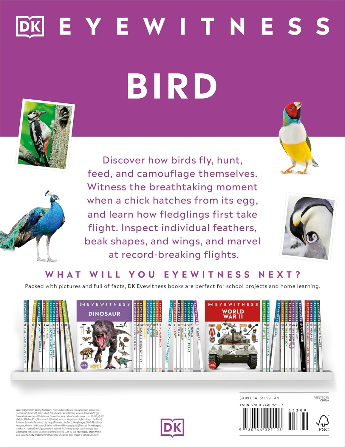 Eyewitness Bird - (DK Eyewitness) by  DK (Paperback)