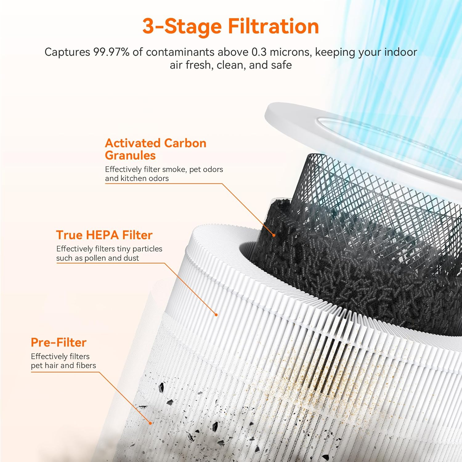 QUALITY FLOORING INC. Air Purifiers For Bedroom Home,Up To 658 Ft²,Activated Carbon Filter Cleaner,With Fragrance Sponge For Better Sleep,Night Light,Pet Dander,Allergies,Smoke,Odor,Desktop Air Cleaner