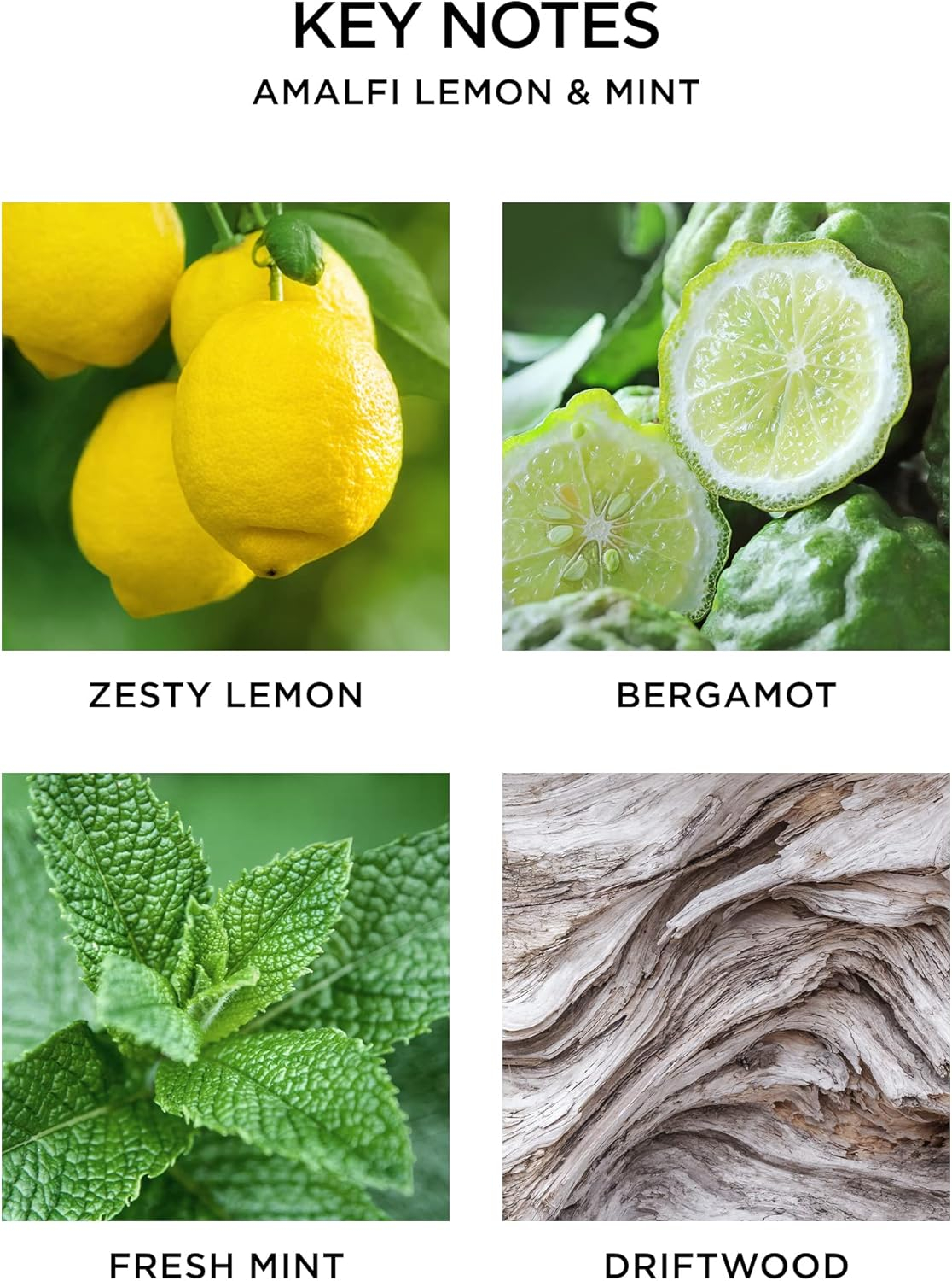 Nest Fragrances Amalfi Lemon And Mint For Nest X Pura Smart Home Fragrance Diffuser