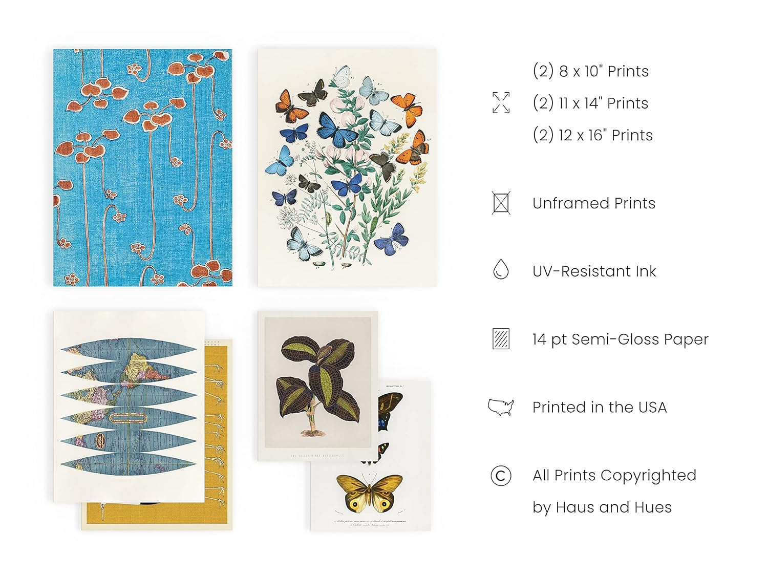 HAUS AND HUES Vintage Art Prints - Butterfly Posters for Room Aesthetic Vintage, Nature Posters, Botanical Vintage Posters, Cottagecore Poster, Wall Gallery Decor, Classic Art Poster (Unframed)