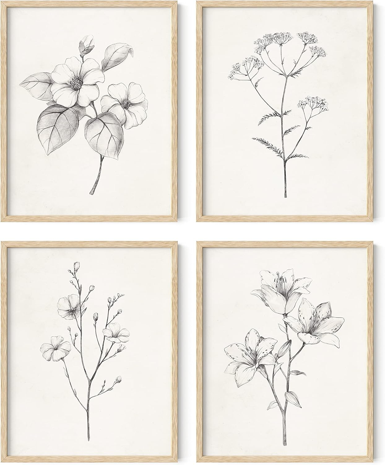 HAUS AND HUES Grey Floral Wall Art - Set of 4 Plant Posters for Wall Vintage, Botanical Prints, Black and White Flower Pictures for Room Aesthetic, Farmhouse Bathroom, Rustic Art (Beige Frame, 11x14)