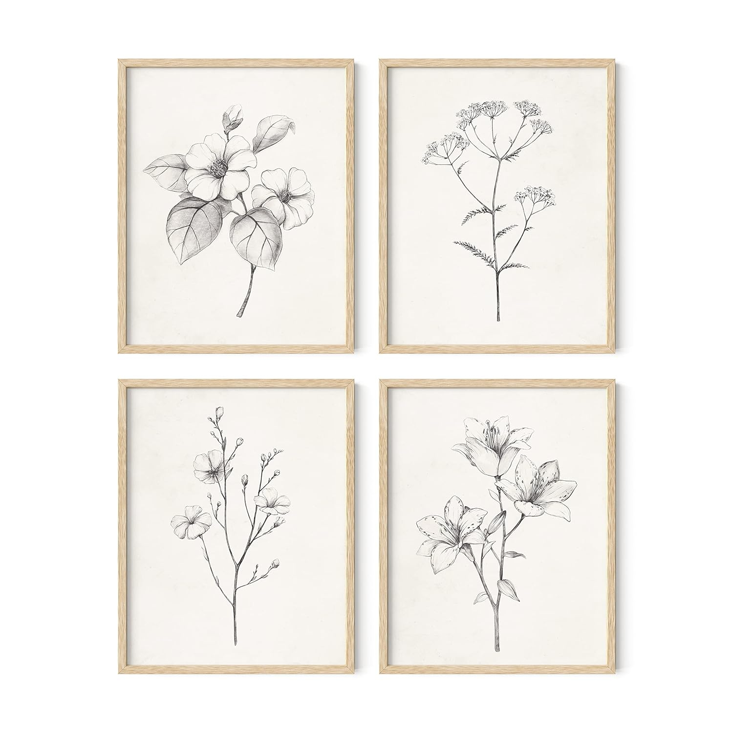 HAUS AND HUES Grey Floral Wall Art - Set of 4 Plant Posters for Wall Vintage, Botanical Prints, Black and White Flower Pictures for Room Aesthetic, Farmhouse Bathroom, Rustic Art (Beige Frame, 11x14)