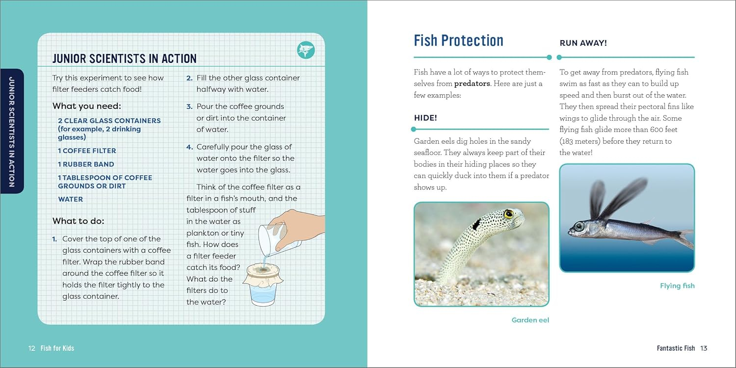 Fish for Kids - (Junior Scientists) by  Kevin Kurtz (Paperback)