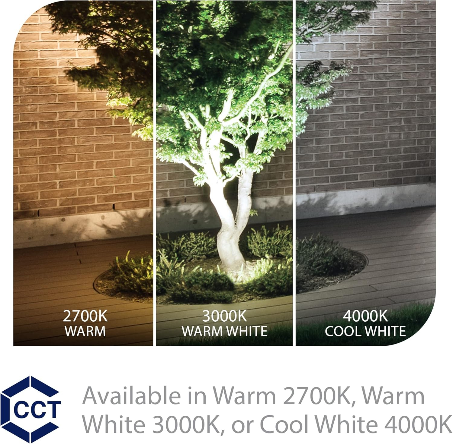 WAC Landscape Lighting, LED 12V Large Size Accent Light with Adjustable Beam Angle and Integral Brightness Control 740-2300 Lumens 2700K Warm Built-in LED in Bronze