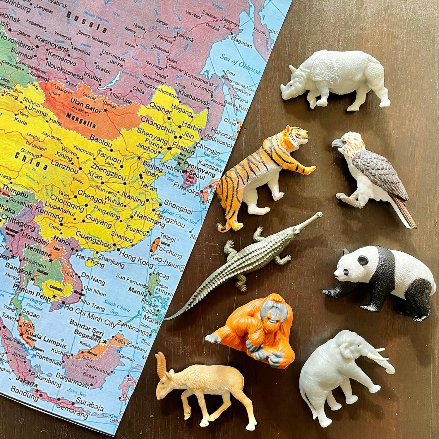Safari Ltd. Asian Animals TOOB - Set of 8 Mini Figurines - Asian Elephant, Indian Rhino, Orangutan, Panda Bear, Tiger, Antelope, Philippine Eagle, and Gavial - Toys for Boys, Girls & Kids Ages 3+