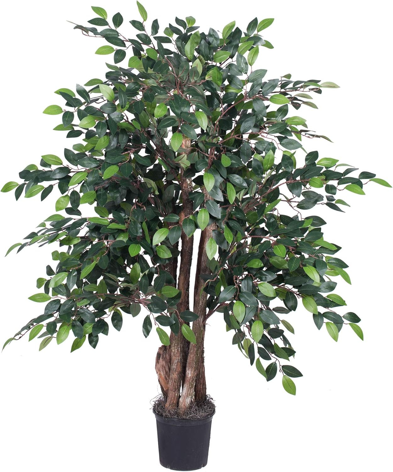 Vickerman 4' Artificial Mini Ficus Extra Full Bush, Black Plastic Pot.