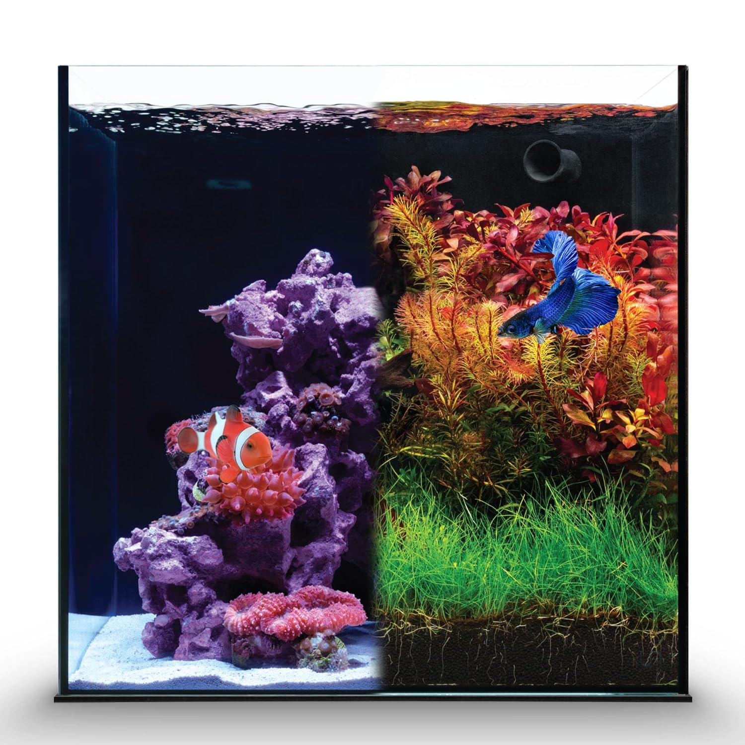 Ultum Nature Systems Dual All in One Complete Rimless Aquarium for Freshwater & Saltwater Tanks, Triple-Chamber Filter System Included, Integrated Fish Tank Kit w/Sleek Design - 11 Gallon, 35A, Black