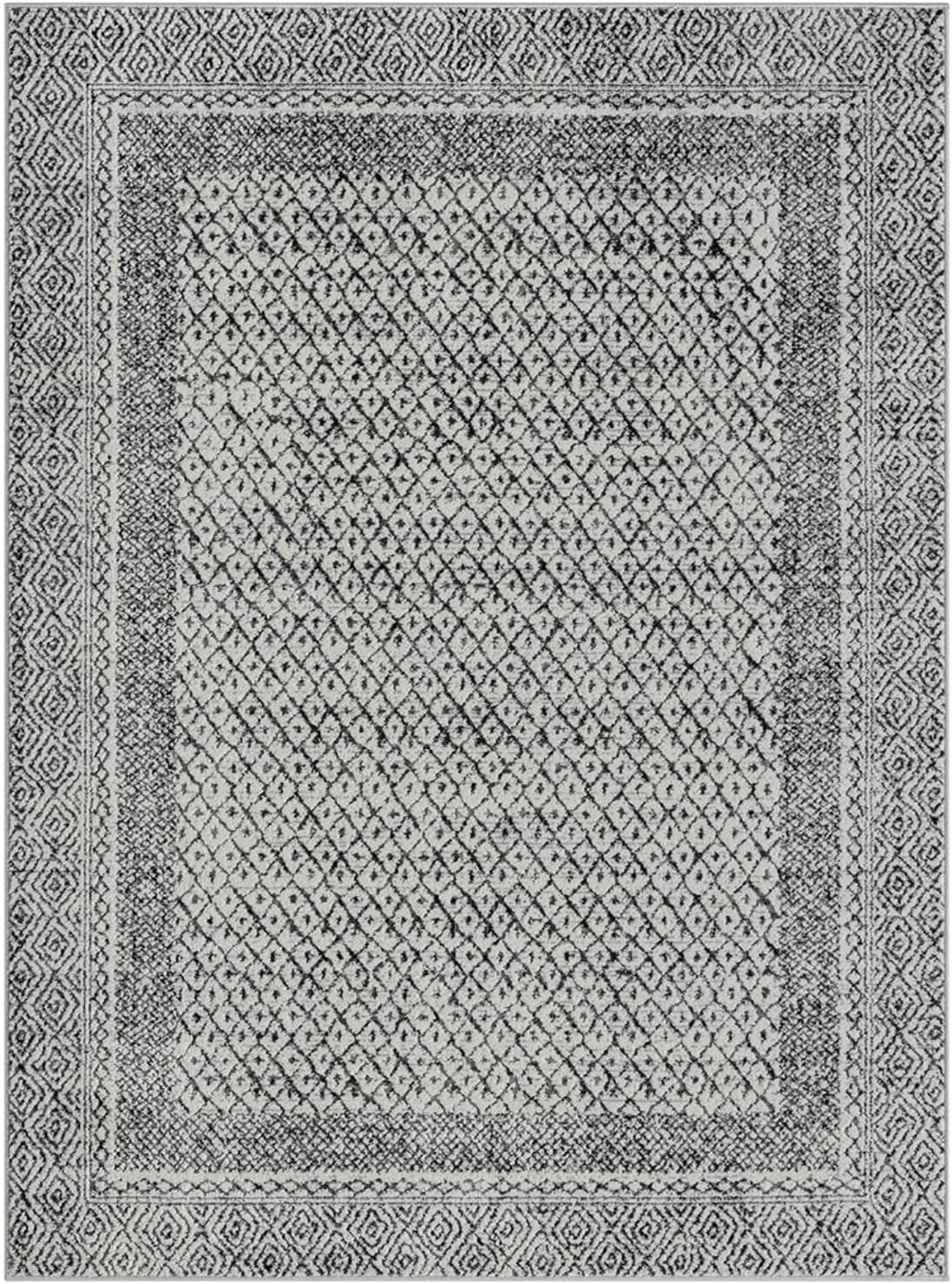 Madison Park Kenzie Woven Turkish Area Rugs for Living Room, Indoor Dinig Accent Modern Home Décor, Ultra Soft Floor Carpets for Bedroom, 3'W x 5'L Grey/Cream