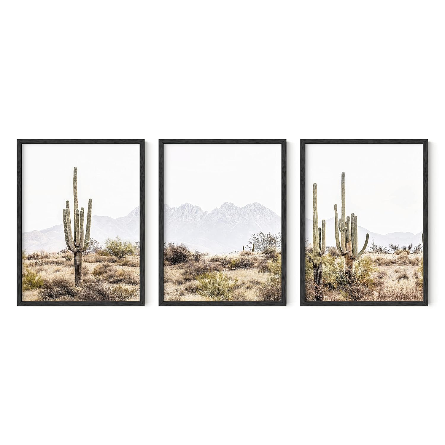 Haus and Hues Desert Wall Art - Set of 3 Western Posters, Landscape Pictures Wall Art, Nature Posters and Prints, Joshua Tree Wall Art, Cactus Posters Nature, Scenic Posters For Wall (12x16, Unframed)