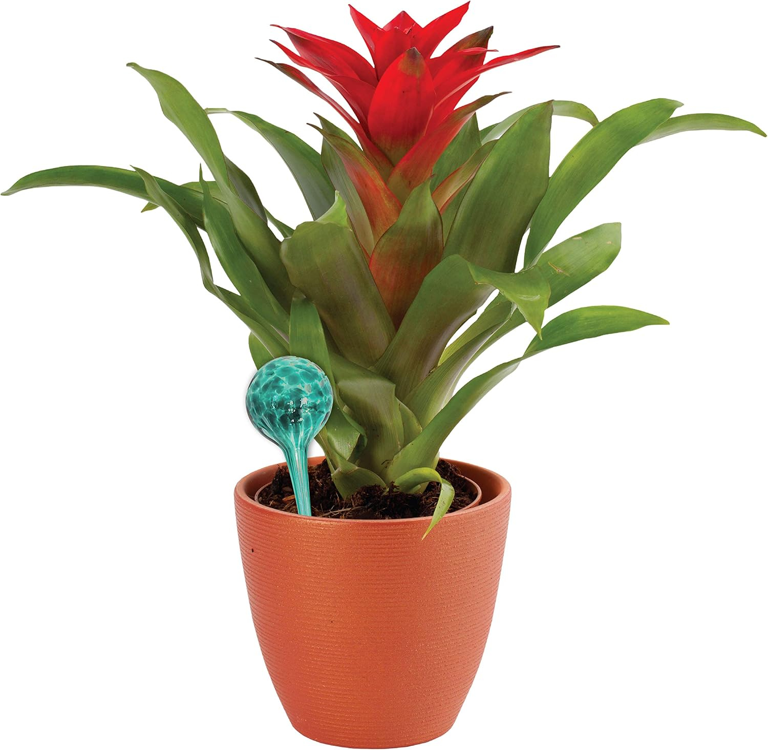 2 Piece Watering Globe Set, Colorful Hand-Blown Glass Plant Watering System, Yellow and Red