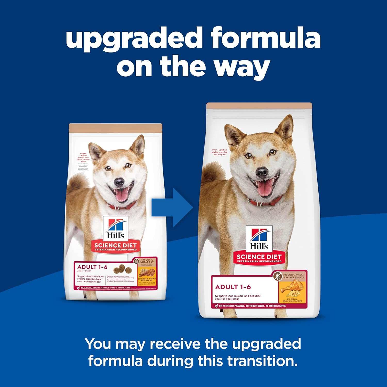 Hill's Science Diet Adult 1-6, Adult 1-6 Premium Nutrition, Dry Dog Food, No Corn, Wheat, Soy Chicken & Brown Rice, 4 lb Bag