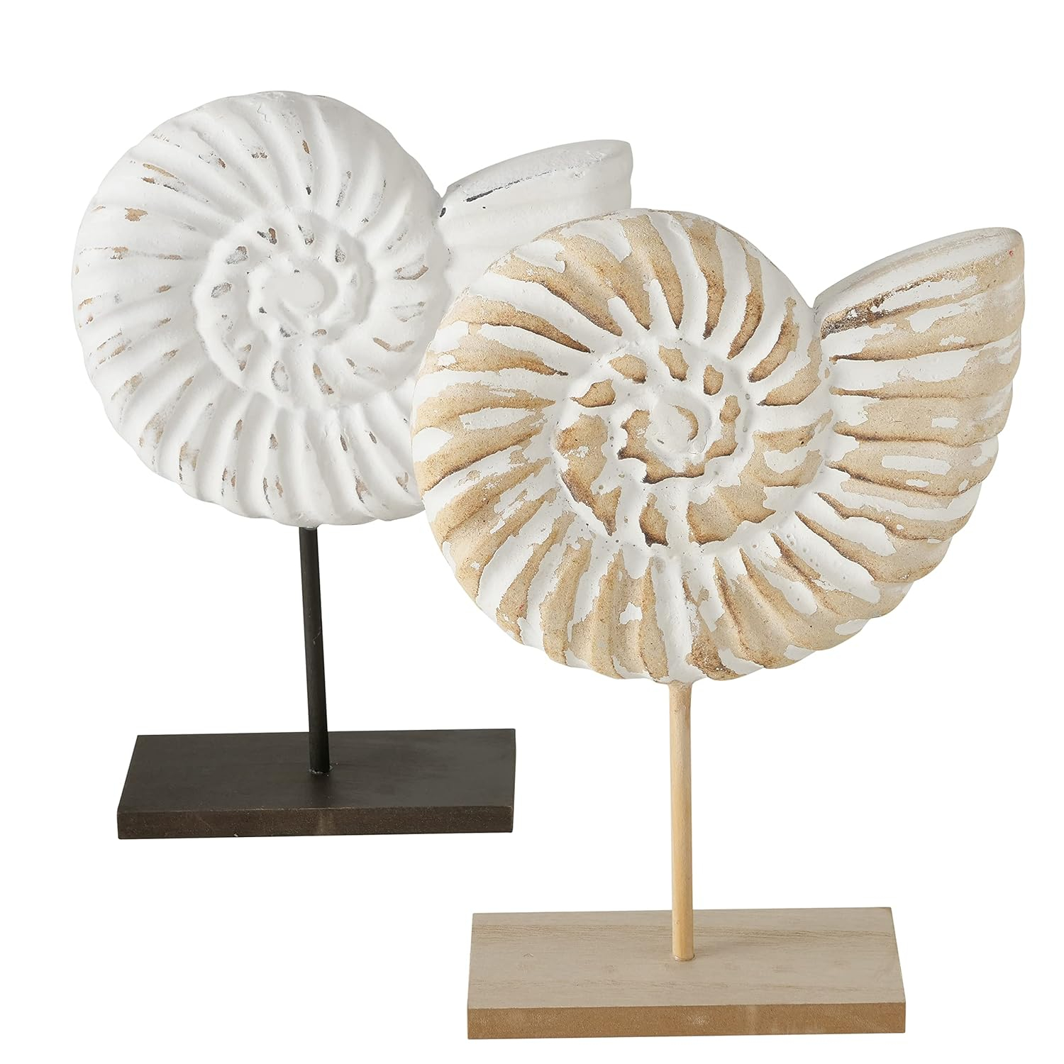 Hand Carved White and Natural Nautilus Shell Sculptures with MDF Wood Base