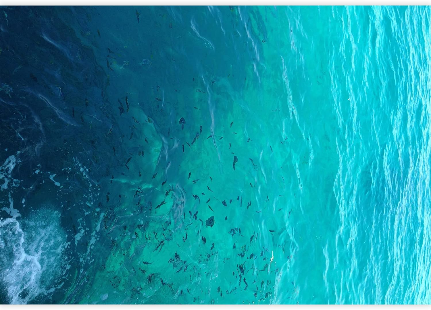 wall26 - Clear Water Ocean - Removable Wall Mural | Self-Adhesive Large Wallpaper - 66x96 inches