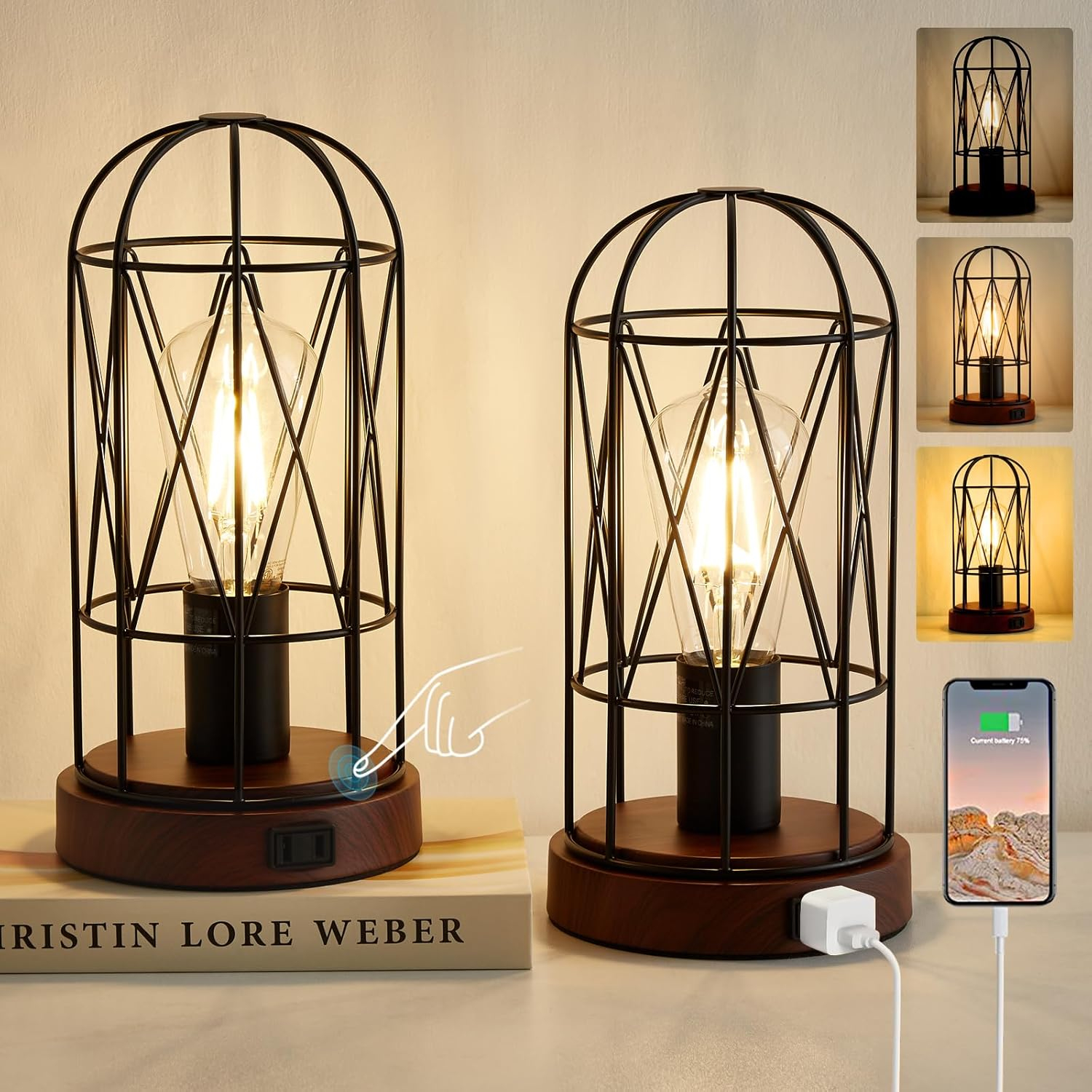 Touch Control Table Lamp, Industrial Bedside Lamp with 3 Way Dimmable Small Nightstand Lamp Vintage Metal Cage Table Lamp for Bedroom, Kitchen