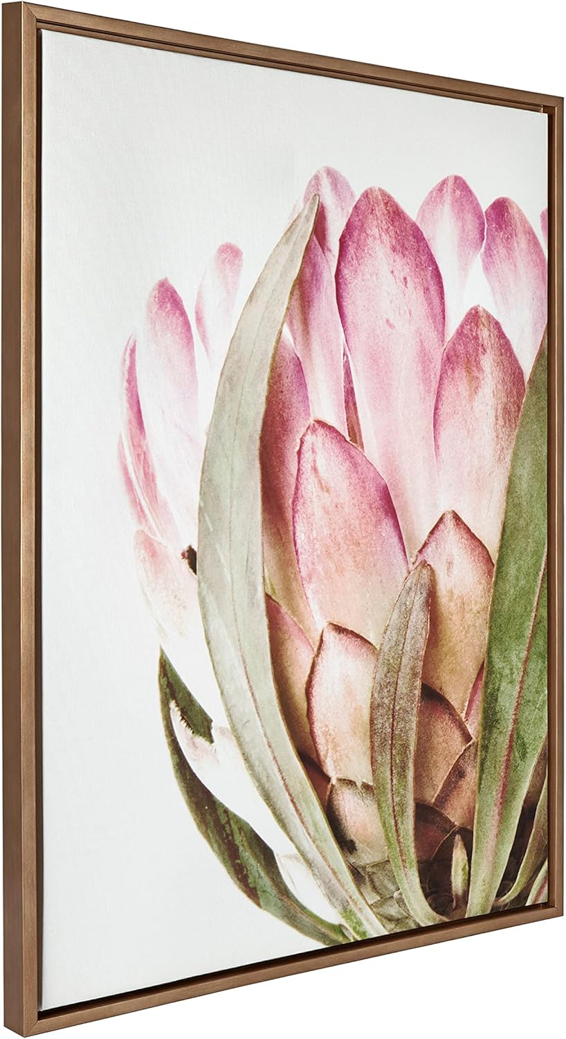 Oversized Pink Protea Flower Framed Canvas Wall Art