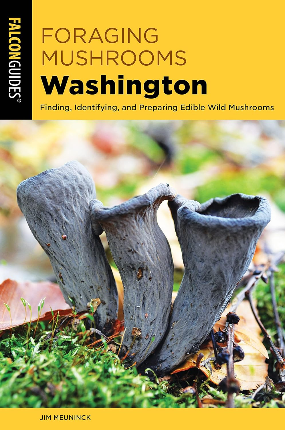 Foraging Mushrooms Washington Paperback Guide