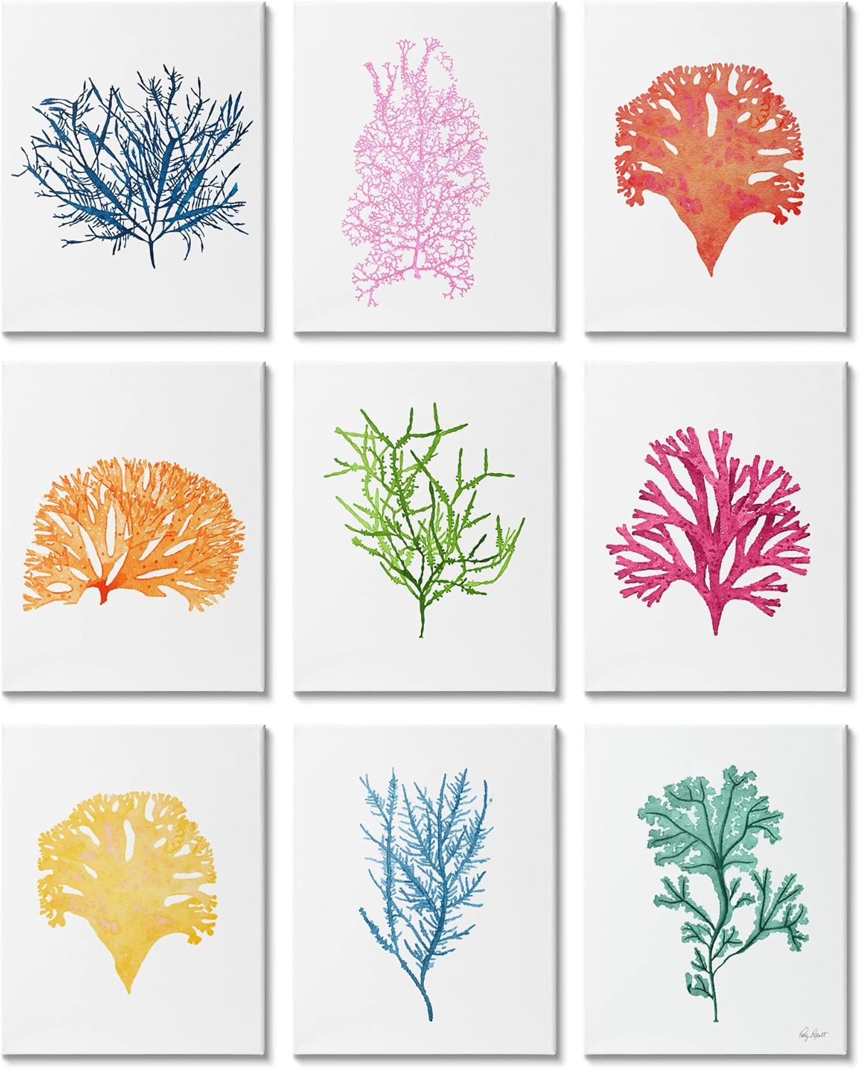 Stupell Industries Vibrant Various Coral Sea Ocean Life Types Graphic Art Gallery Wrapped Canvas Print Wall Art, Set of 9, Design by Patty Rybolt