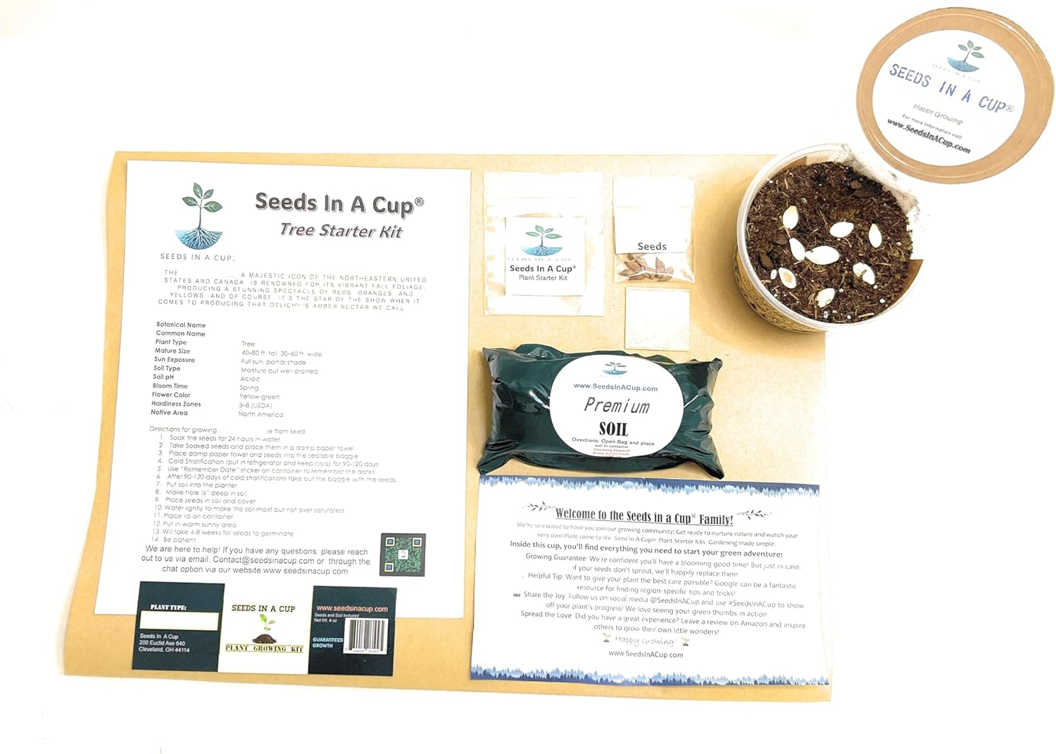 Seeds in a Cup Tree Starter Kit with Premium Soil