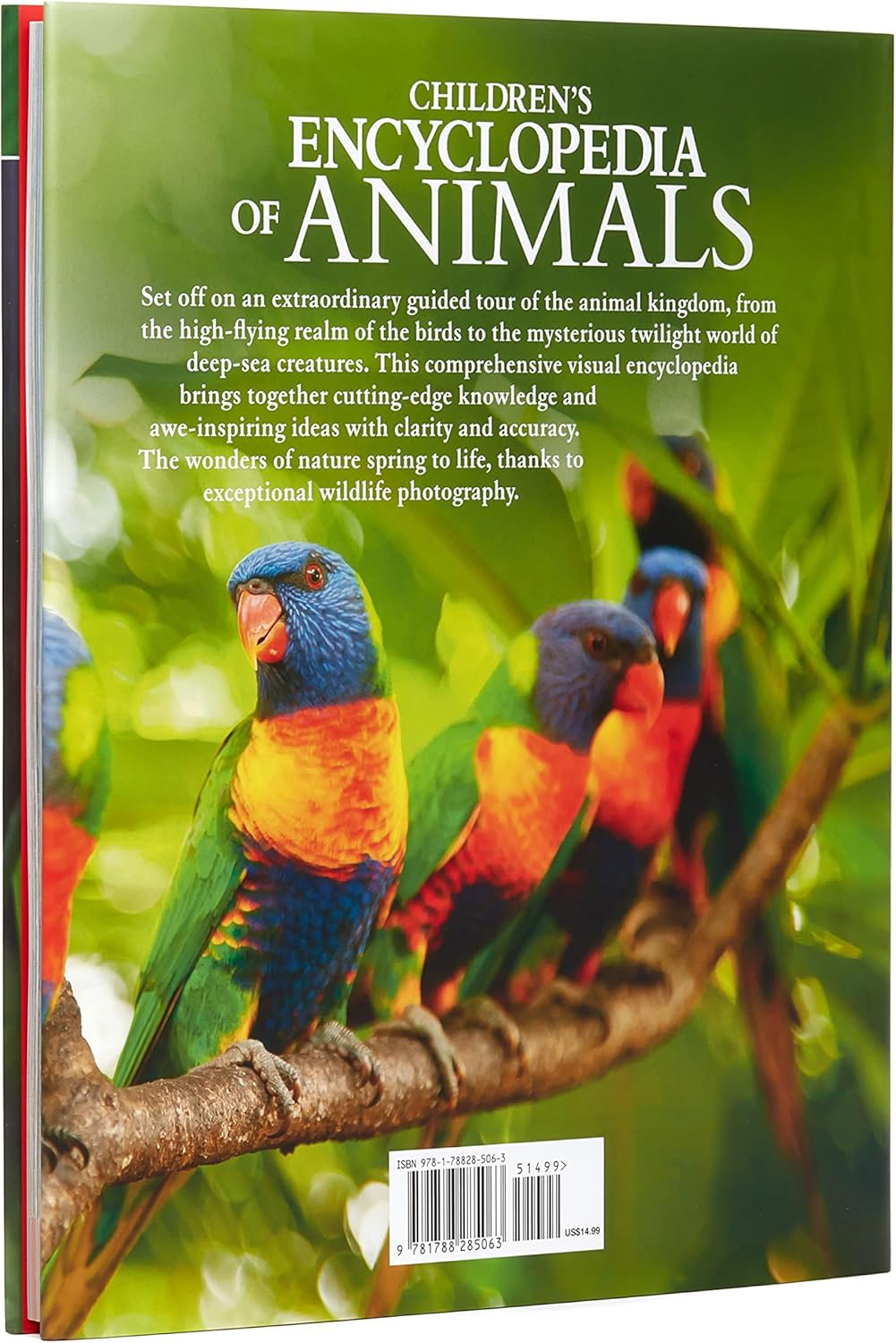 Children's Encyclopedia of Animals - (Arcturus Children's Reference Library) by  Michael Leach & Meriel Lland (Hardcover)