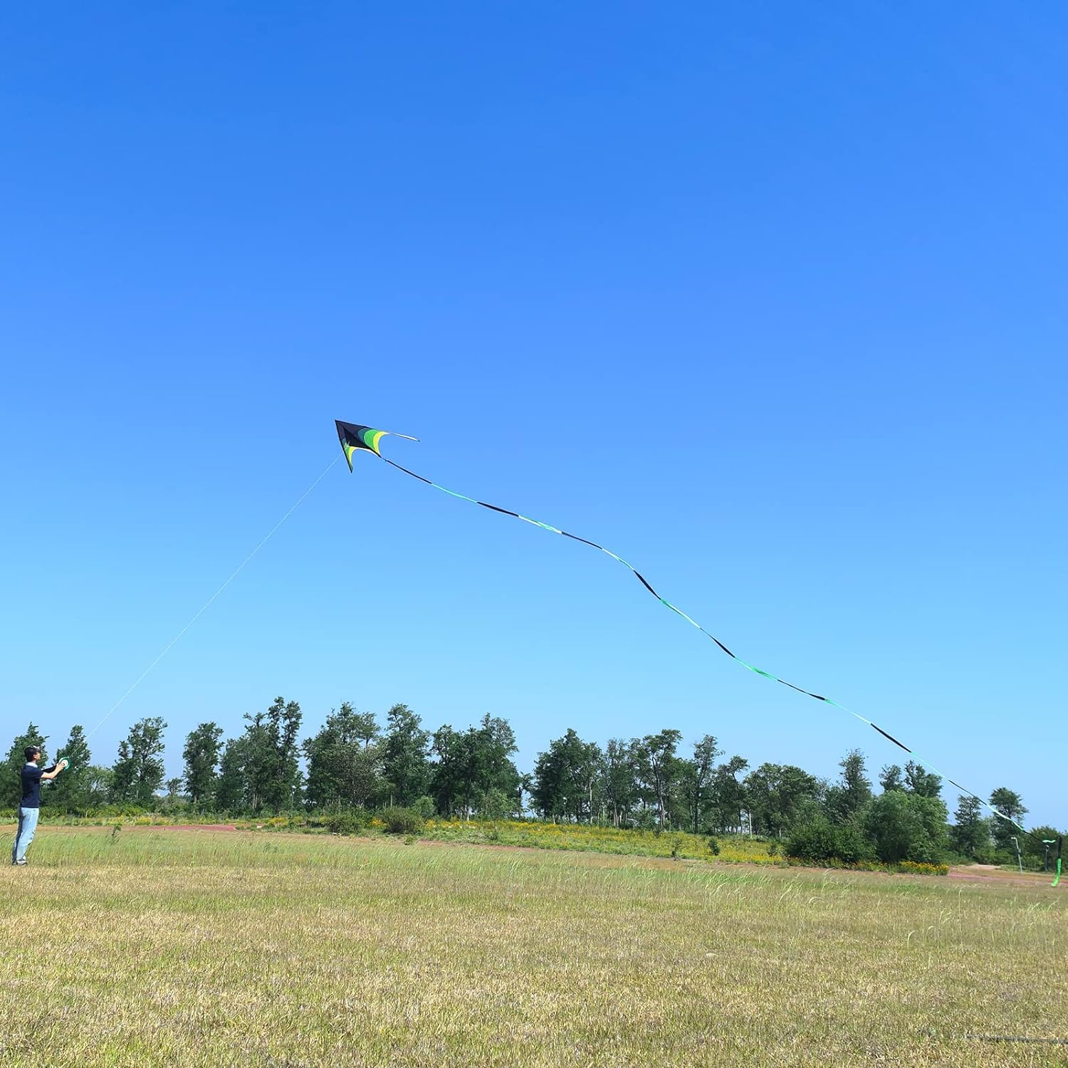 Gaint Kite for Adults Easy to Fly, 9ft Huge Delta Kite Come with 98ft Tail