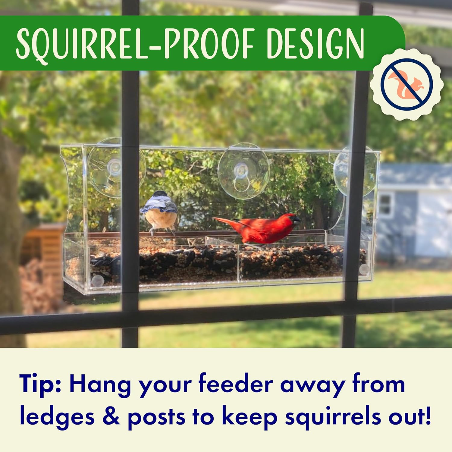 Nature’s Hangout Clear Suction Cup Window Bird Feeder for Wild Birds