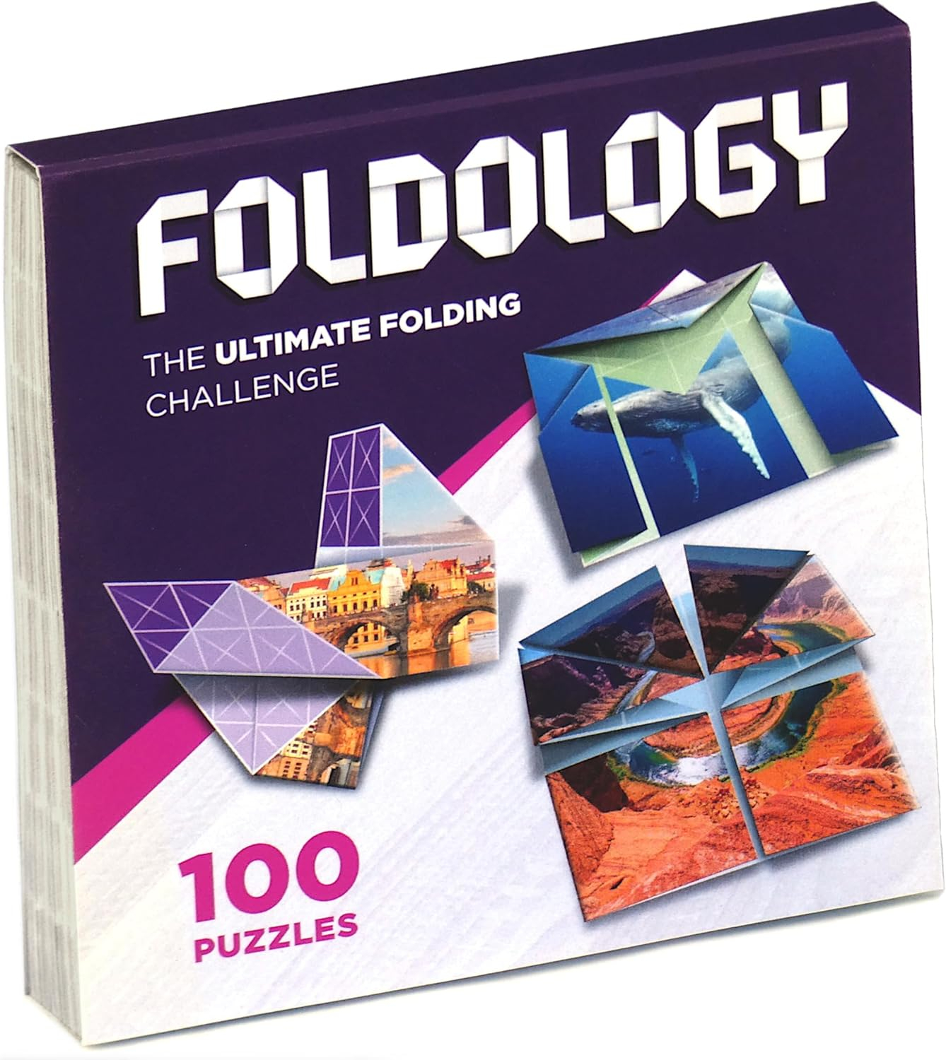 FOLDOLOGY - The Origami Puzzle Game! Stocking Stuffer for Tweens, Teens & Adults.