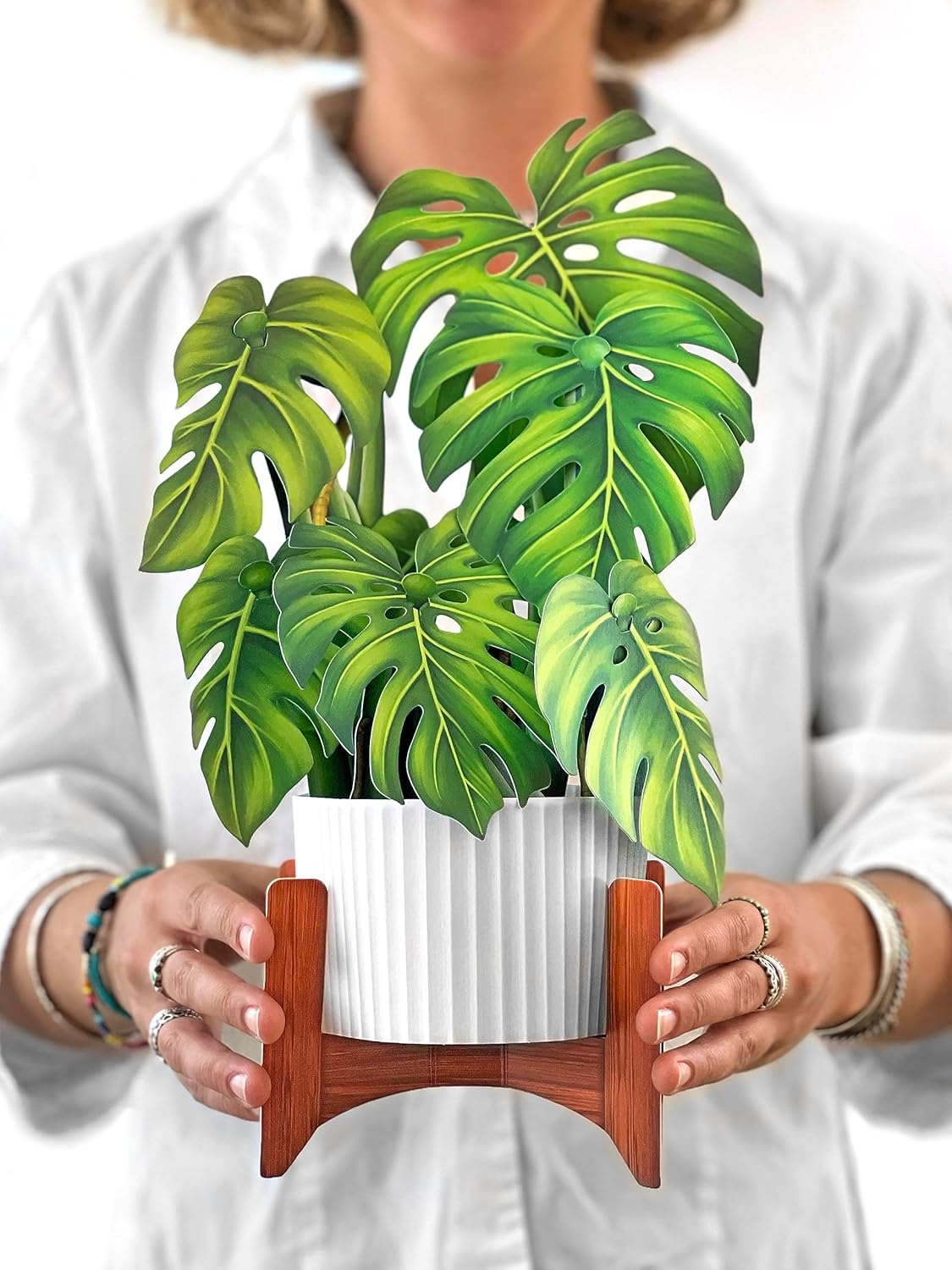 Freshcut Paper Pop Up Cards, Monstera, 12 Inch Life Sized Paper House Plants 3D Popup Greeting Cards, Birthday Card, Thank You Card, Blank Notecard & Envelope
