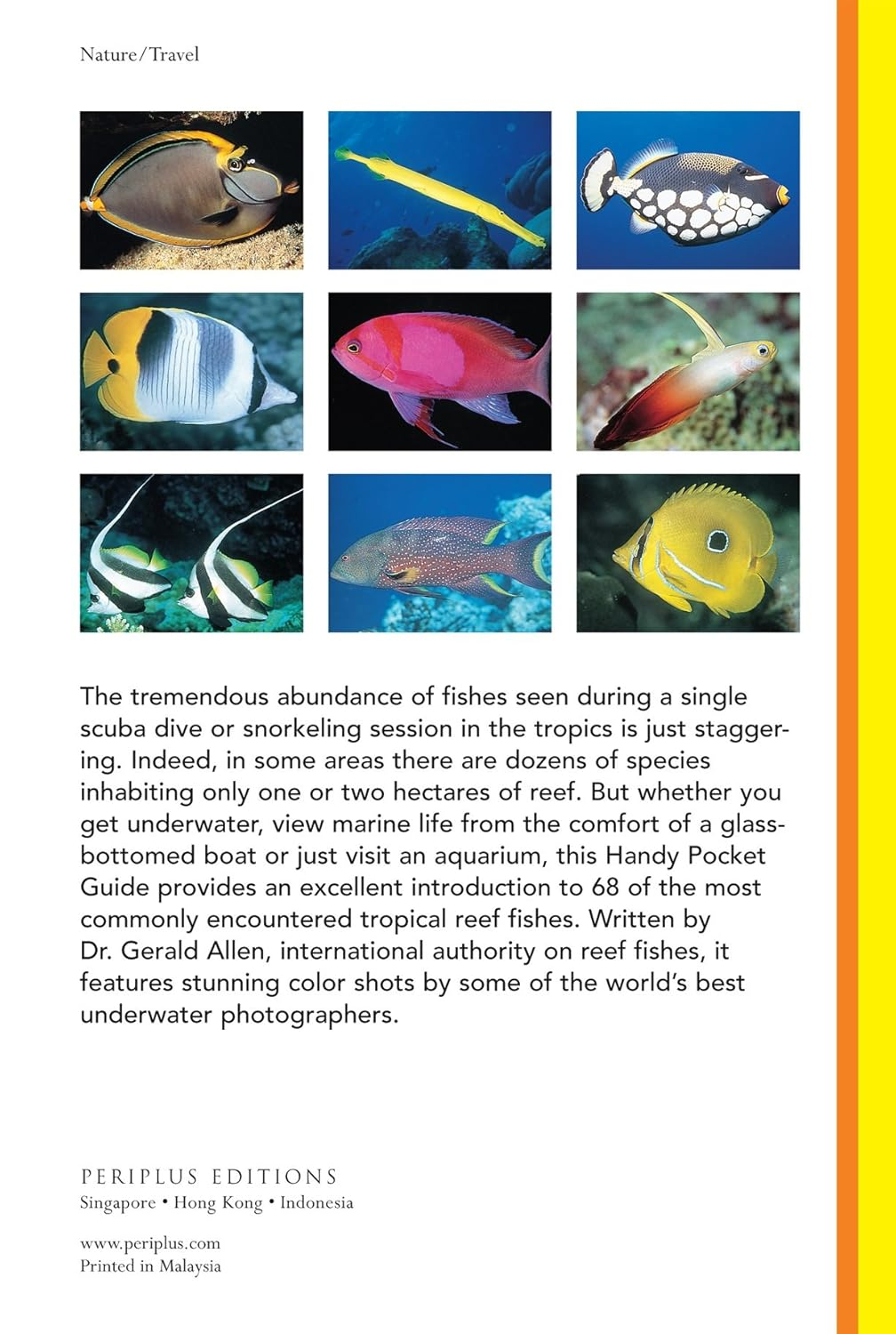 Tropical Coral Reef Fishes - (Handy Pocket Guides) by  Allen (Paperback)