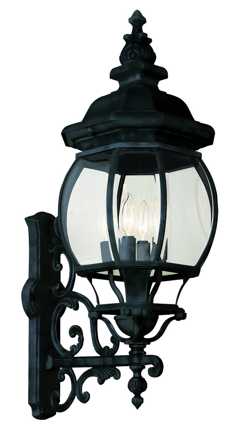 Trans Globe Lighting 4052 BK Outdoor Francisco 32" Wall Lantern, Black