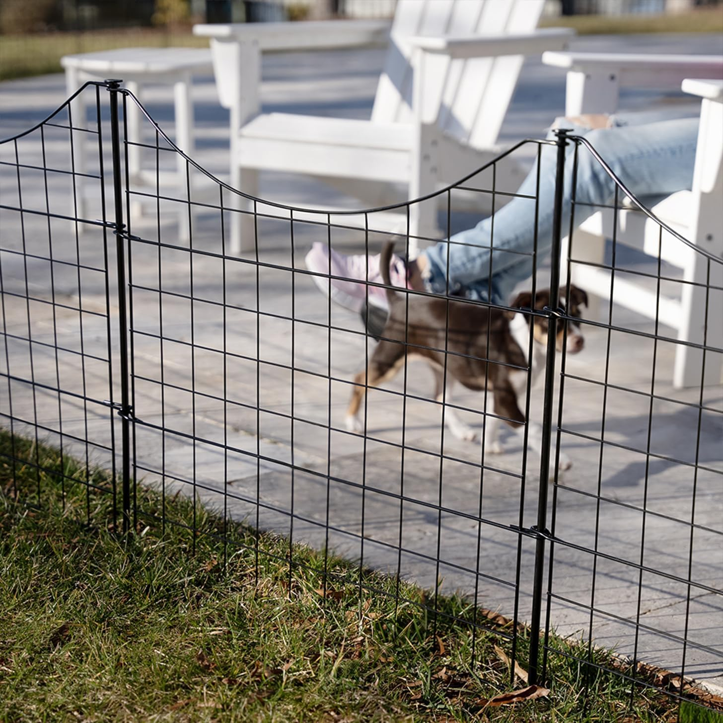 25in H (5 Fence Panels) No Dig Easy Install Zippity Black Metal Fence, Decorative Fence Ideal for Garden Fencing For Dogs, Temporary Fence or Garden Fence Animal Barrier, WF29001
