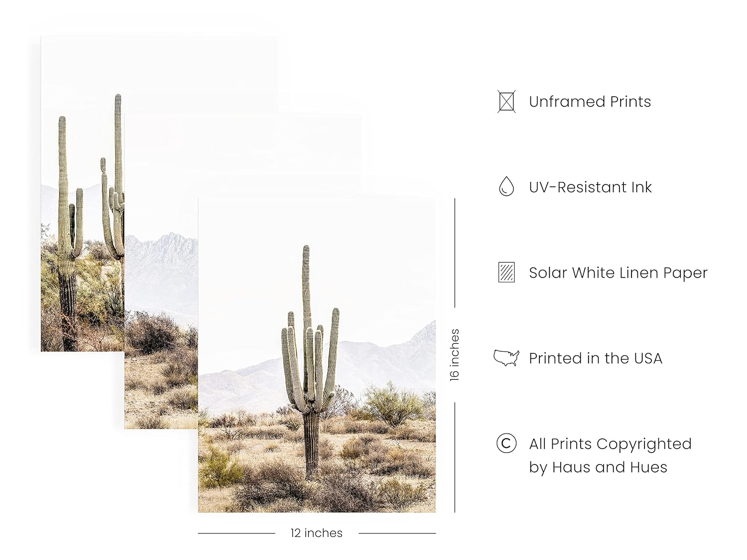 Haus and Hues Desert Wall Art - Set of 3 Western Posters, Landscape Pictures Wall Art, Nature Posters and Prints, Joshua Tree Wall Art, Cactus Posters Nature, Scenic Posters For Wall (12x16, Unframed)