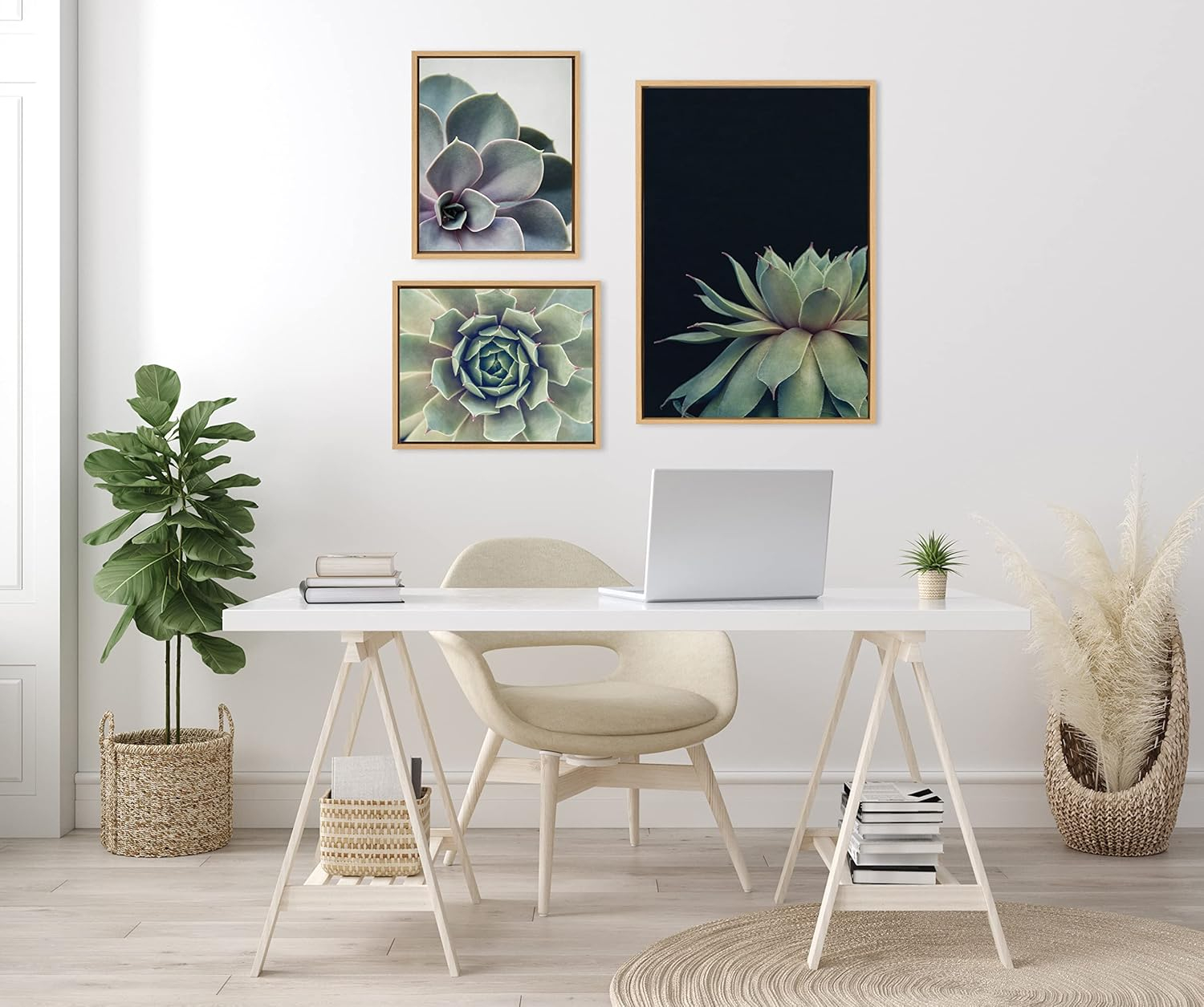 Kate and Laurel Sylvie Succulent 8, Succulent 1, and Succulent 5 Framed Canvas Wall Art Set by Emiko and Mark Franzen of F2Images, 3 Piece Set Natural, Modern Dramatic Botanical Wall Décor