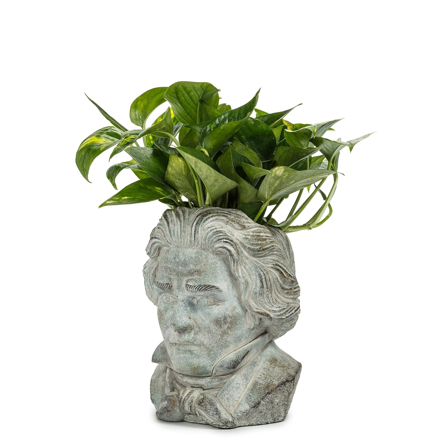 Small Gray Concrete Beethoven Head Planter