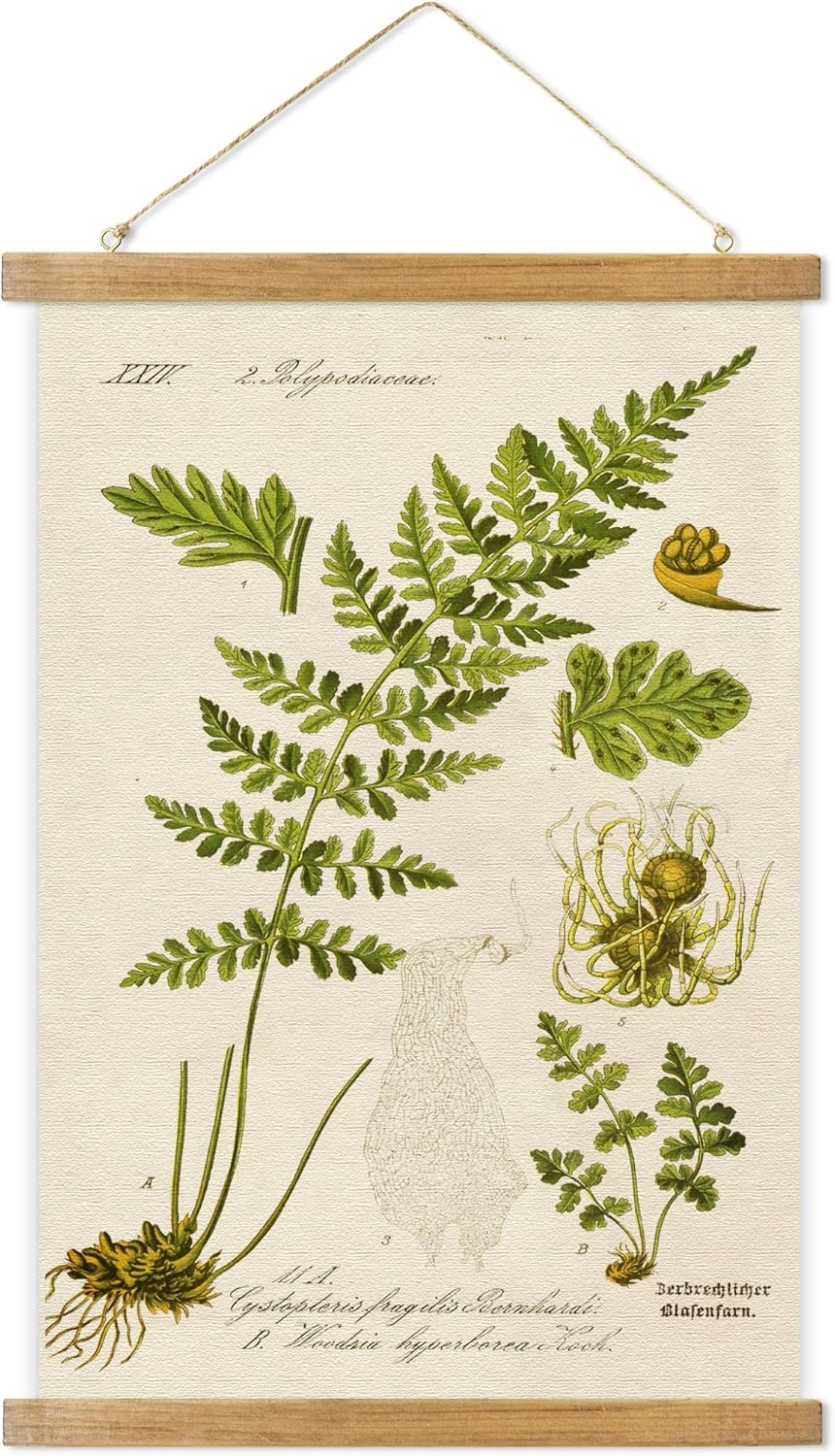 Vintage Illustrative Reference Plant Hanging Poster, Retro Style of Botanical Wall Art Prints, Printed on Linen with Wood Frames, Ready to Hang