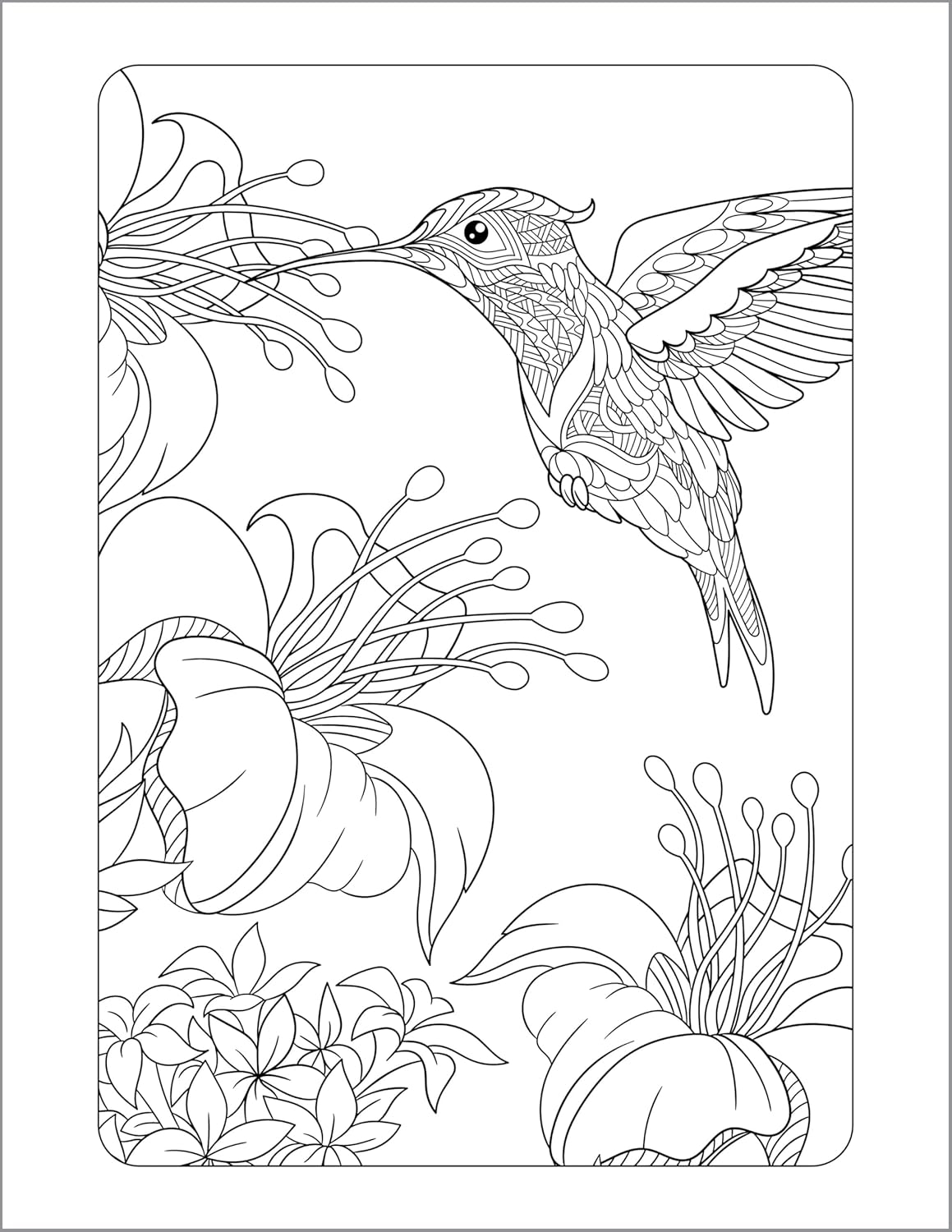 Anxiety Relief Coloring Book for Adults - by  Rockridge Press (Paperback)