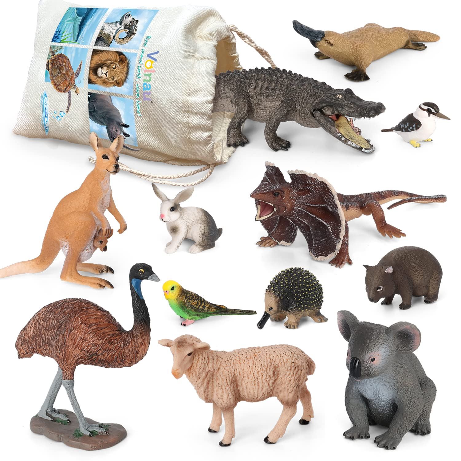 Volnau Animal Toys Figurines 12Pcs Australia Animal Figures Zoo Pack Educational Kangaroo Koala Sets