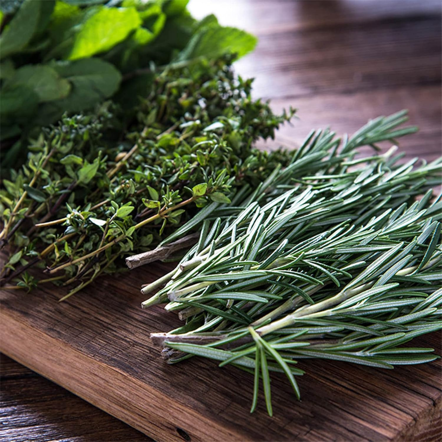 Indoor Culinary Herb Garden Starter - Deluxe Kit - 12 Non-GMO Varieties - Grow Cooking Herbs & Spices - Seeds: Cilantro, Arugula, Thyme, Sage, Chives, Dill, Basil, More