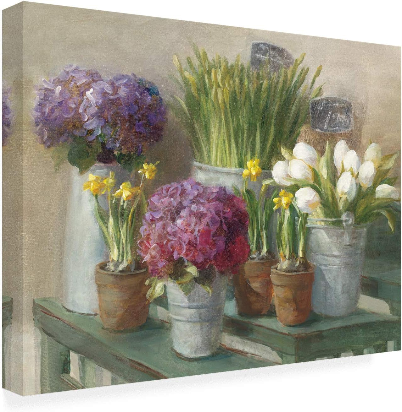 Trademark Fine Art 'Les Fleurs Printemps' Canvas Art by Danhui Nai