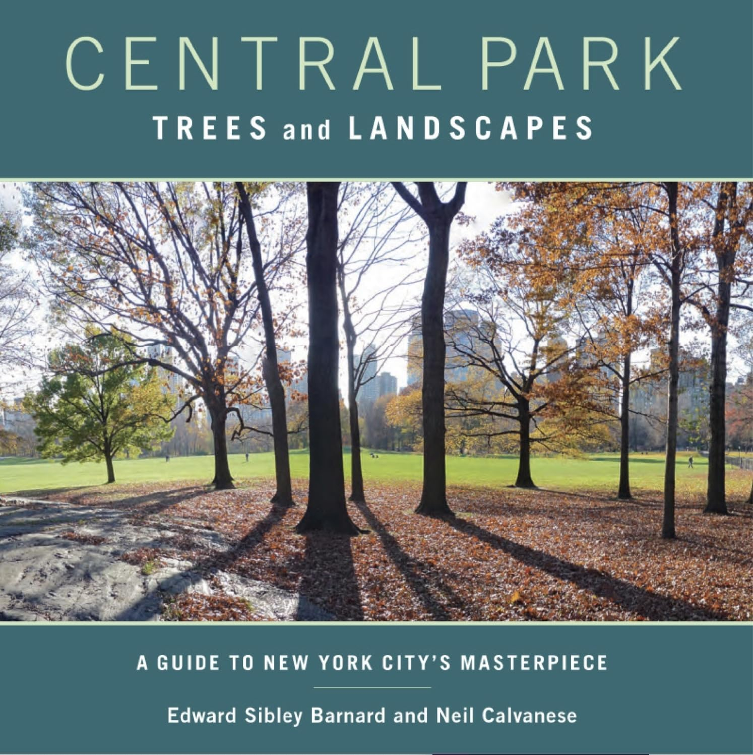 Central Park Trees and Landscapes - by  Edward Barnard & Neil Calvanese (Paperback)