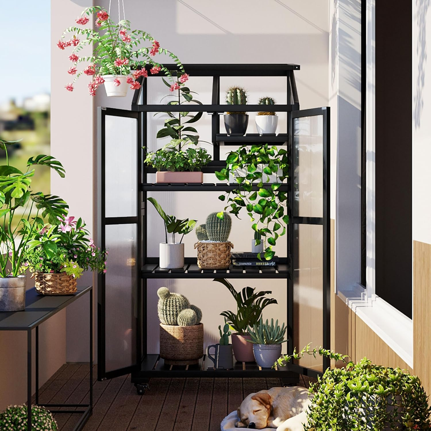 Polibi Wooden Greenhouse, Cold Frame Portable Greenhouse with Wheels and Adjustable Shelves for Indoor Outdoor Patio Balcony Garden, 31.5" Lx22.4 Wx62 H, Black