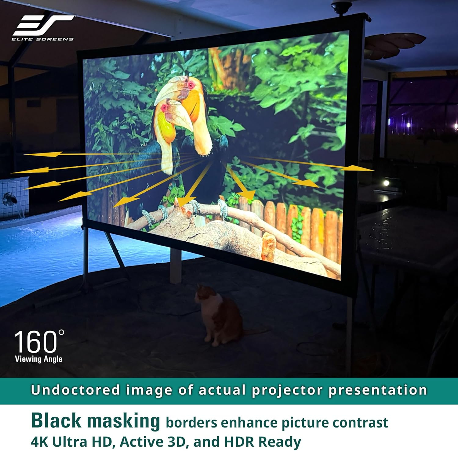 Elite Screens Yard Master 2 Rear Series Portable Folding rear Frame Projector Screen