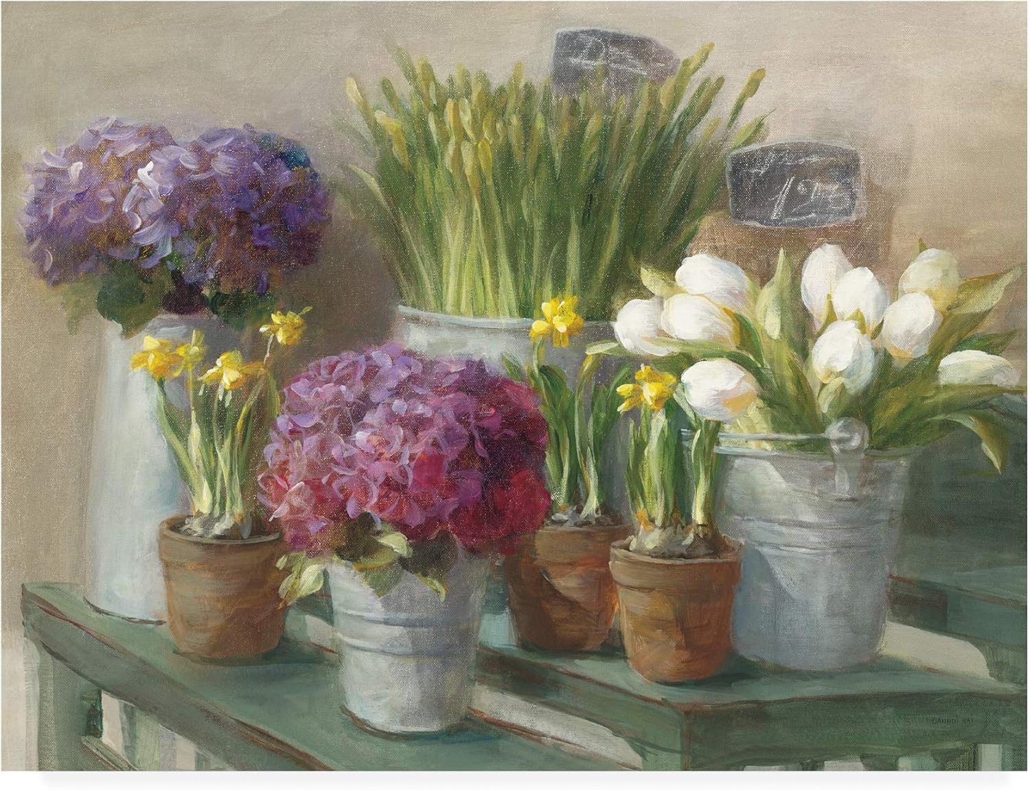 Trademark Fine Art 'Les Fleurs Printemps' Canvas Art by Danhui Nai