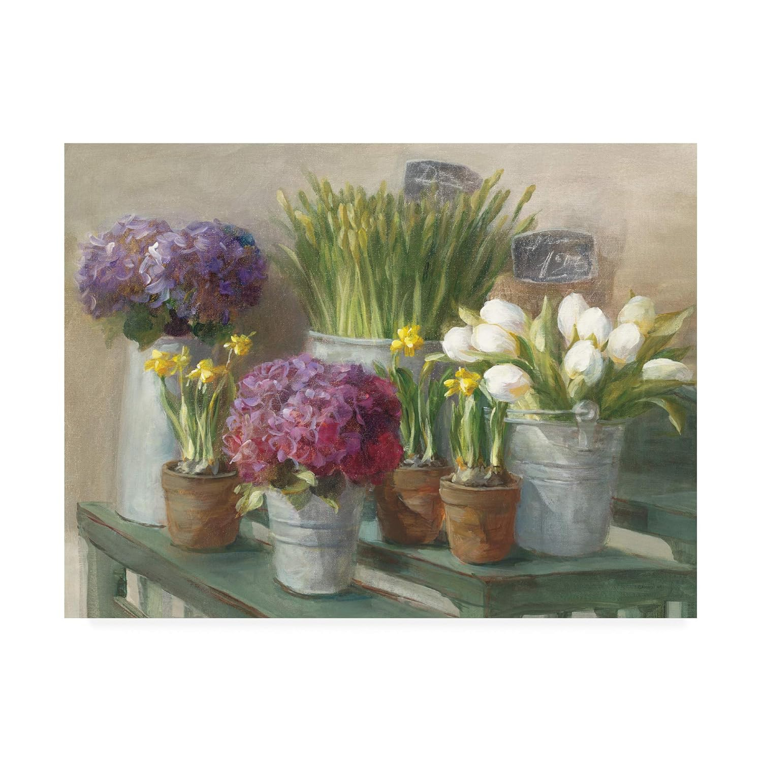 Trademark Fine Art 'Les Fleurs Printemps' Canvas Art by Danhui Nai