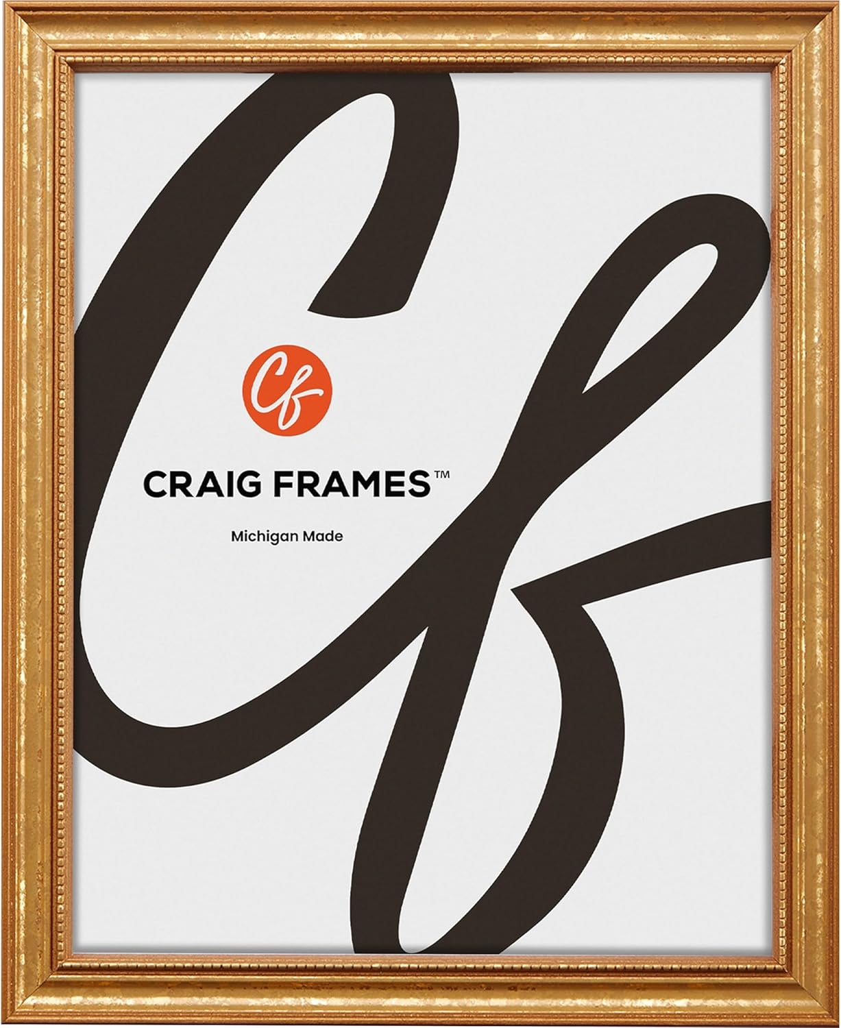Craig Frames 16x24 Ornate Gold Picture Frame