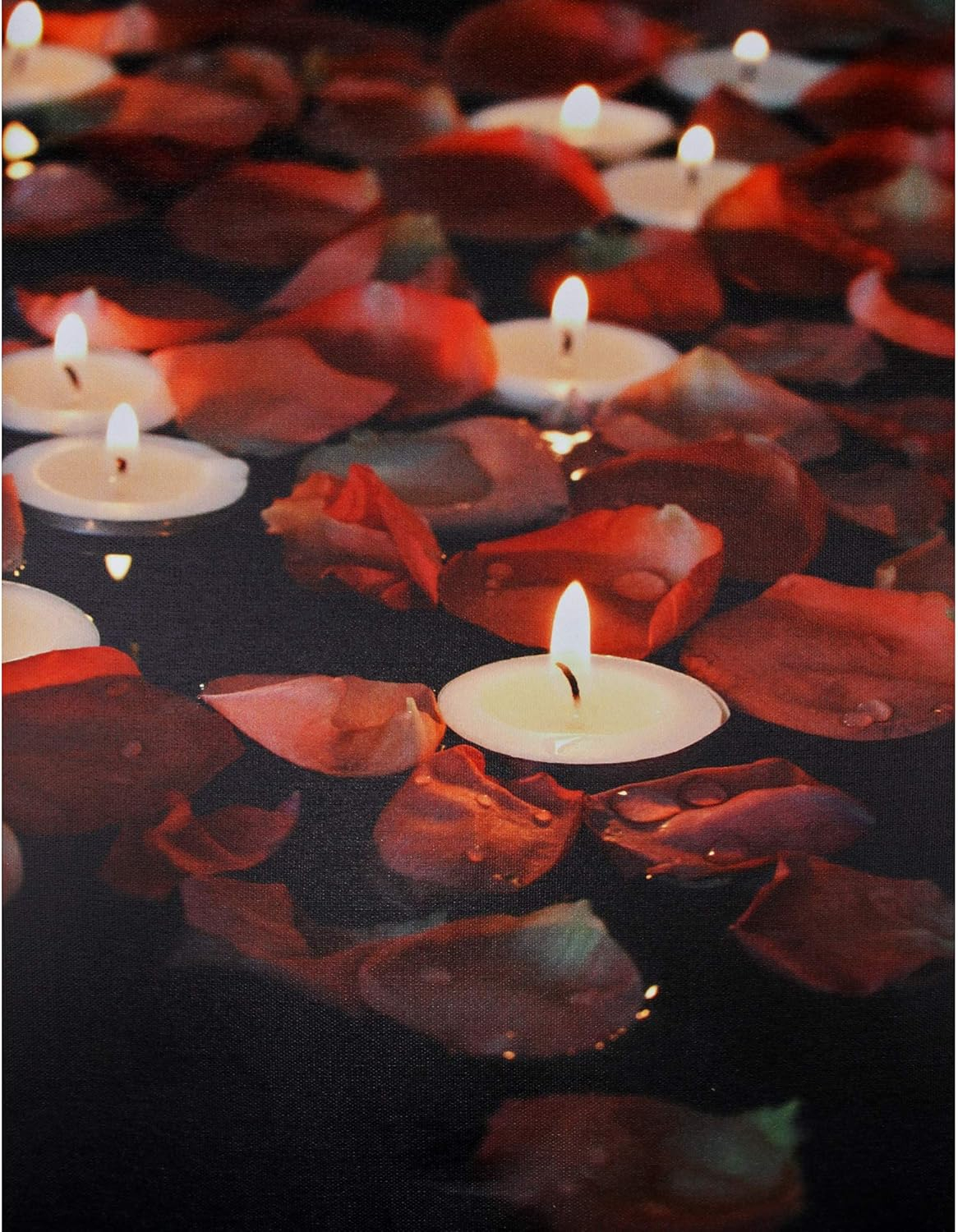 Northlight White and Red Rose Petal LED Flickering Canvas Wall Art 15.75" x 11.75"