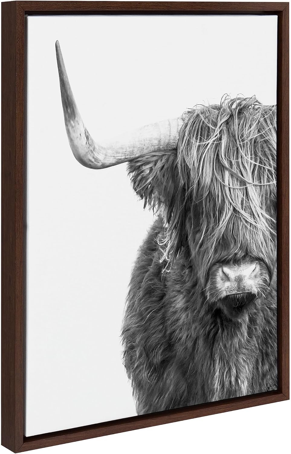 Kate and Laurel Sylvie B&W Highland Cow No. 1 Framed Canvas Wall Art by Amy Peterson Art Studio, 18x24 Brown, Black and White Animal Portrait Art