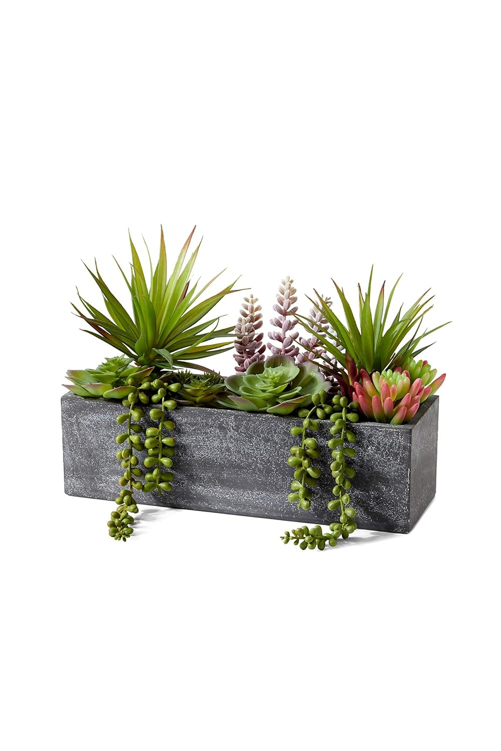 Serene Spaces Living Mixed Succulents in Rectangular Planter, Perfect for Weddings and Home Décor, Real Looking Succulent for Decoration, Sold Individually, Measures 12in Long x 4.5in Wide x 9in Tall