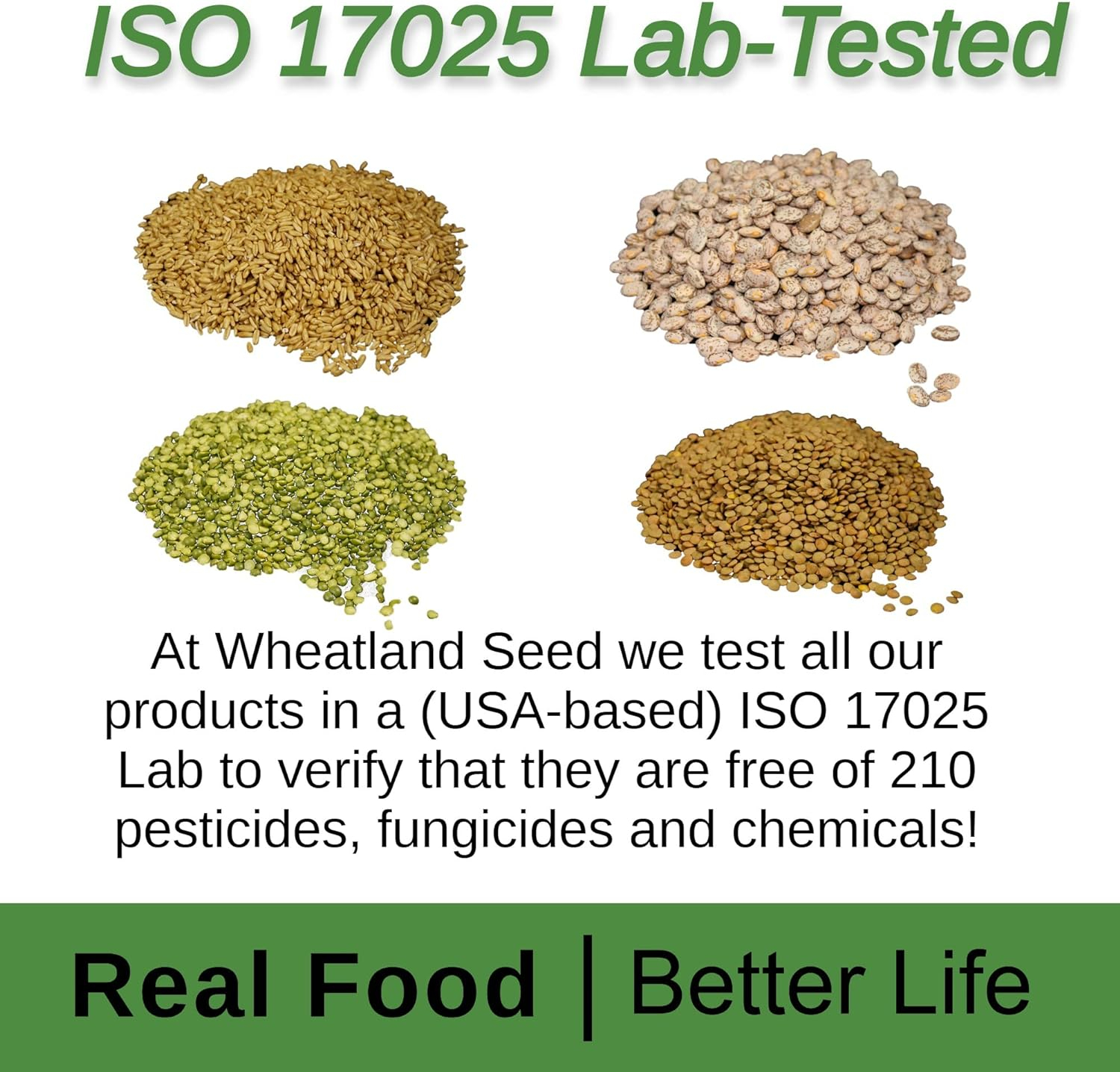 Wheatland Soft White Wheat Berries 23 lbs in Mylar Bucket
